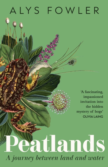Image for Peatlands : A Journey Between Land and Water