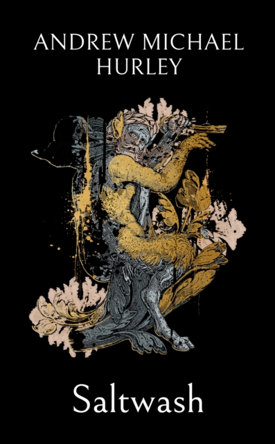 Image for Saltwash : The chilling new novel from the 'master of menace'