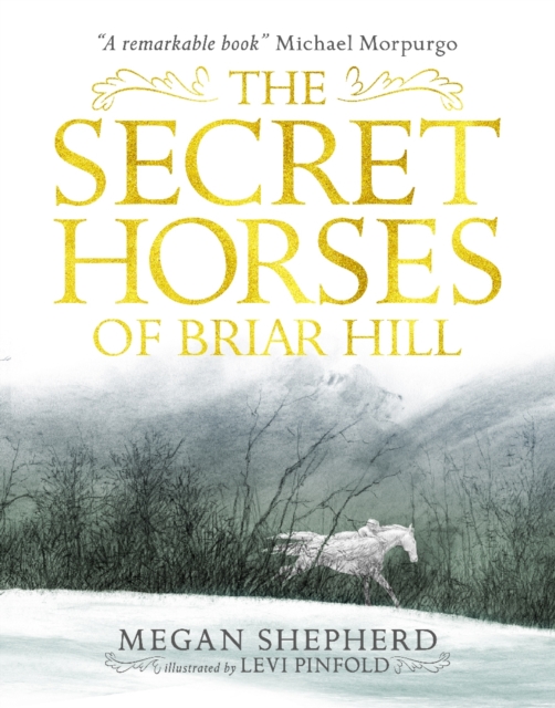Image for The Secret Horses of Briar Hill