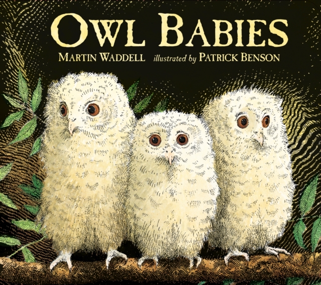 Image for Owl Babies : Over two million copies sold - a heartwarming bedtime picture book story that comforts and reassures - also the perfect gift for birthdays, new parents and baby showers