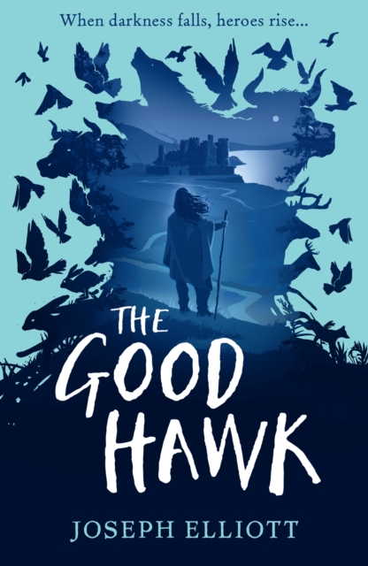 Cover for: The Good Hawk (Shadow Skye, Book One)