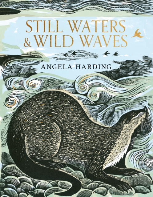 Image for Still Waters & Wild Waves