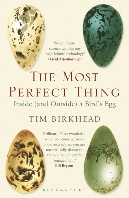 Image for The Most Perfect Thing : Inside (and Outside) a Bird's Egg