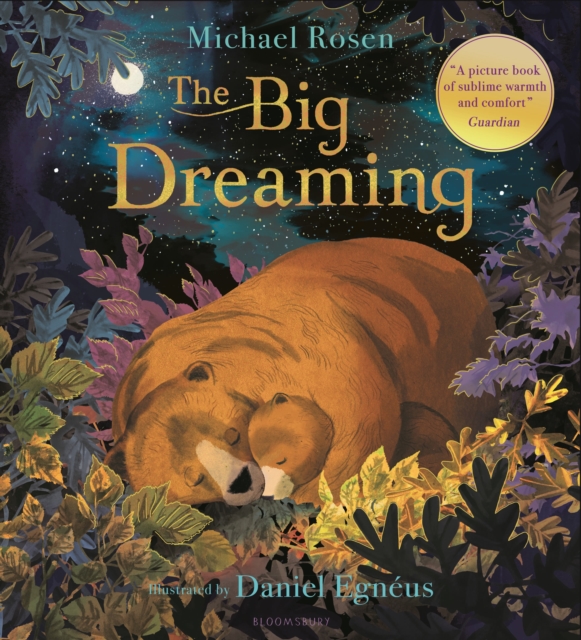 Image for The Big Dreaming