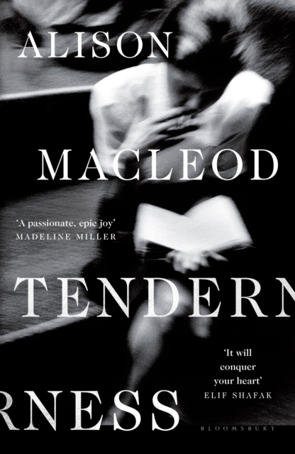 Cover for: Tenderness