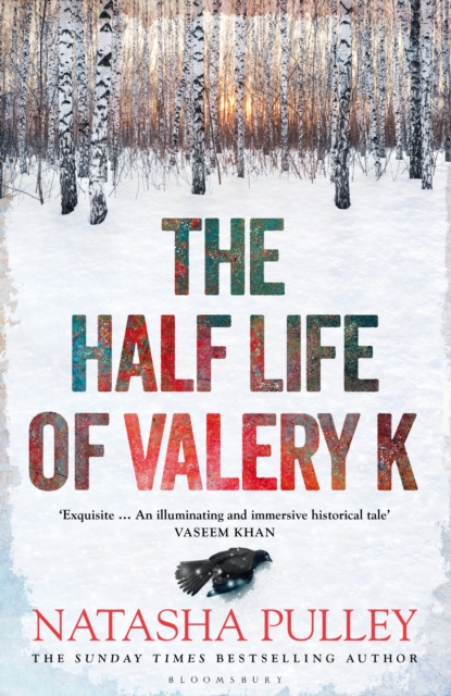 Image for The Half Life of Valery K