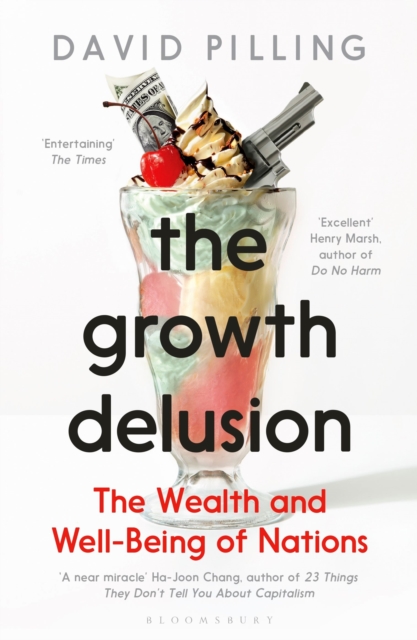 Image for The Growth Delusion : The Wealth and Well-Being of Nations