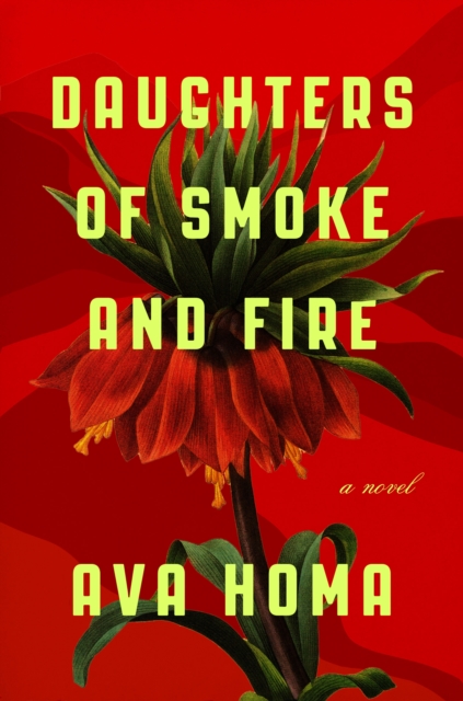 Cover for: Daughters of Smoke and Fire : A Novel
