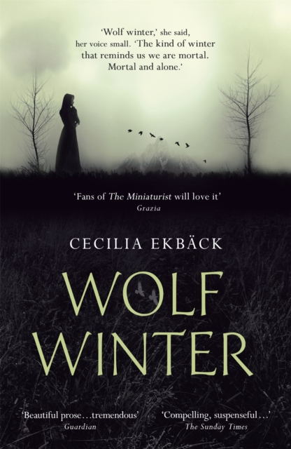 Image for Wolf Winter