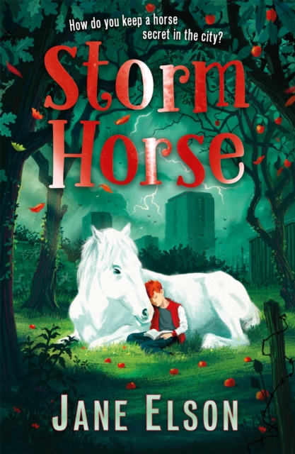 Image for Storm Horse