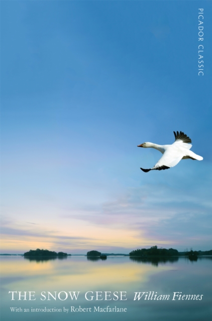 Image for The Snow Geese