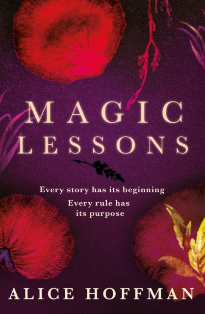 Cover for: Magic Lessons : A Prequel to Practical Magic