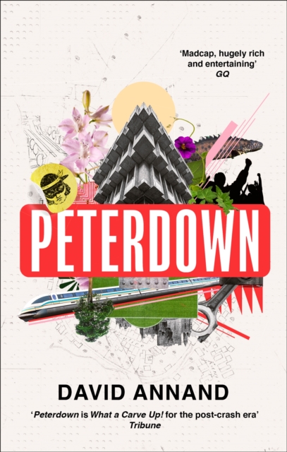 Cover for: Peterdown : An epic social satire, full of comedy, character and anarchic radicalism