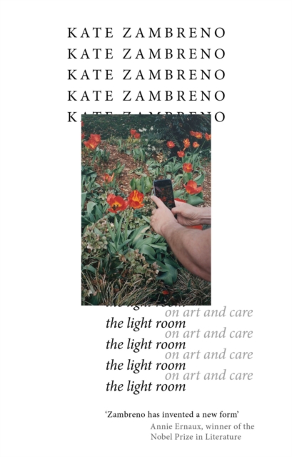 Image for The Light Room
