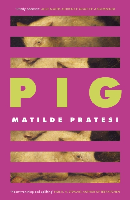 Image for Pig