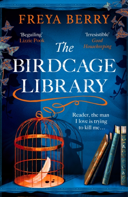 Image for The Birdcage Library : A spellbinding novel of a missing woman, a house of secrets and hidden clues to find