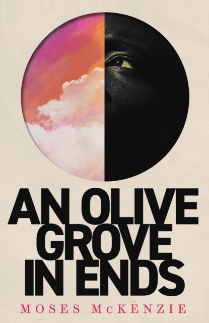 Image for An Olive Grove in Ends : The dazzling debut novel about love, faith and community, by an electrifying new voice