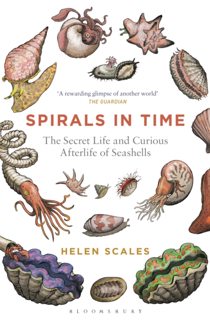 Cover for: Spirals in Time : The Secret Life and Curious Afterlife of Seashells