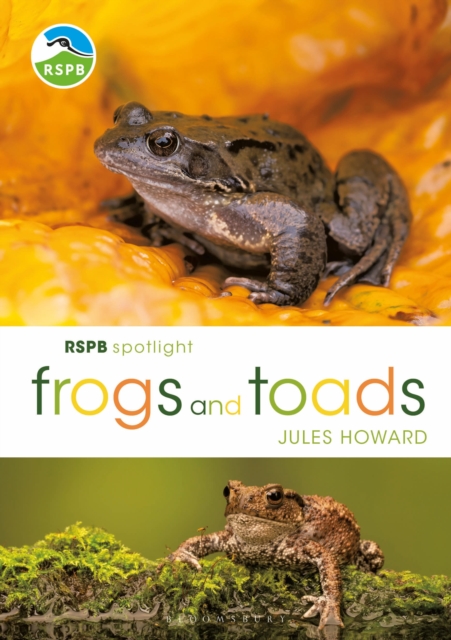 Image for RSPB Spotlight Frogs and Toads