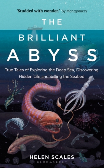 Cover for: The Brilliant Abyss : True Tales of Exploring the Deep Sea, Discovering Hidden Life and Selling the Seabed
