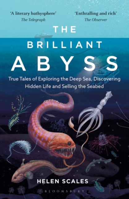 Image for The Brilliant Abyss : True Tales of Exploring the Deep Sea, Discovering Hidden Life and Selling the Seabed