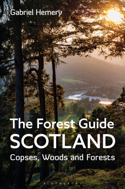 Image for The Forest Guide: Scotland : Copses, Woods and Forests of Scotland