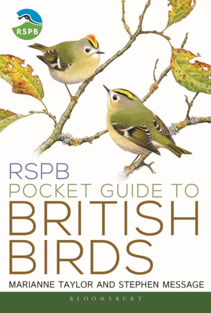 Image for RSPB Pocket Guide to British Birds