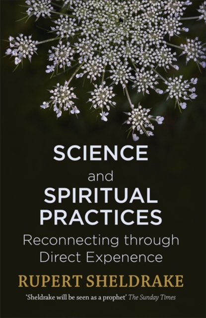 Image for Science and Spiritual Practices : Reconnecting through direct experience