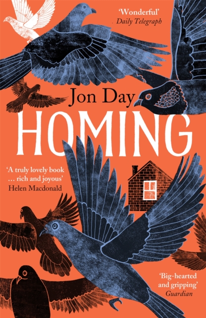 Image for Homing : On Pigeons, Dwellings and Why We Return