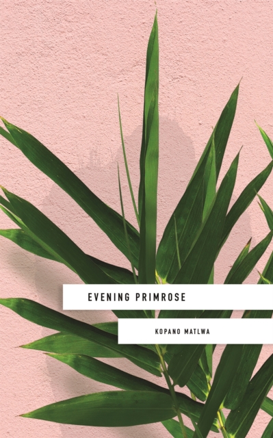 Image for Evening Primrose: a heart-wrenching novel for our times