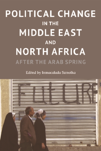 Image for Political Change in the Middle East and North Africa : After the Arab Spring