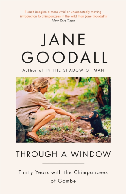 Image for Through A Window