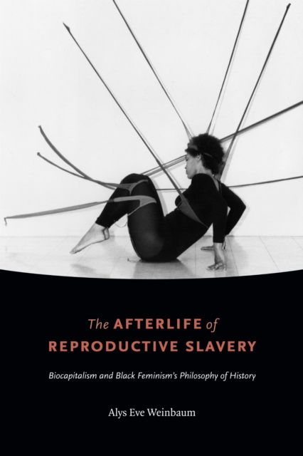 Cover for: The Afterlife of Reproductive Slavery : Biocapitalism and Black Feminism's Philosophy of History