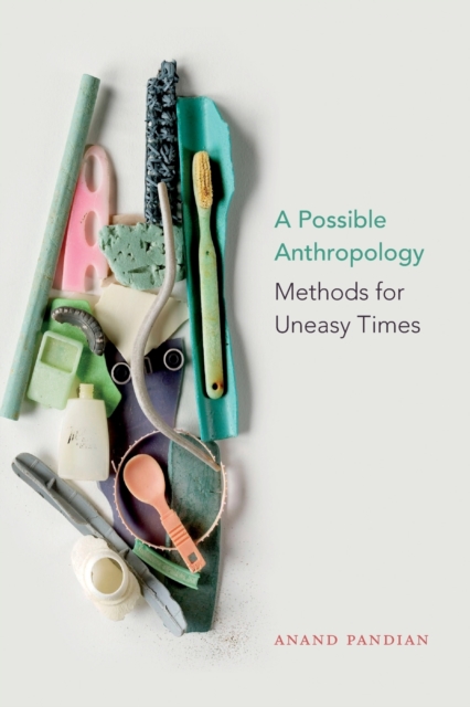 Cover for: A Possible Anthropology : Methods for Uneasy Times