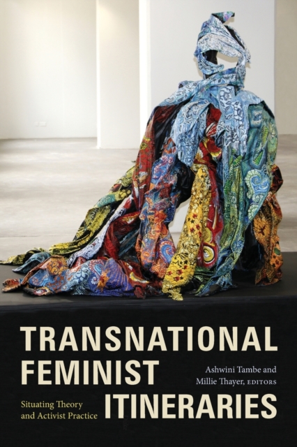 Image for Transnational Feminist Itineraries : Situating Theory and Activist Practice