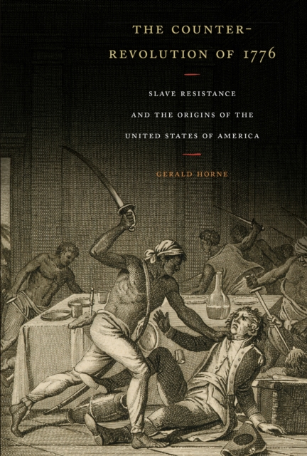 Image for The Counter-Revolution of 1776 : Slave Resistance and the Origins of the United States of America