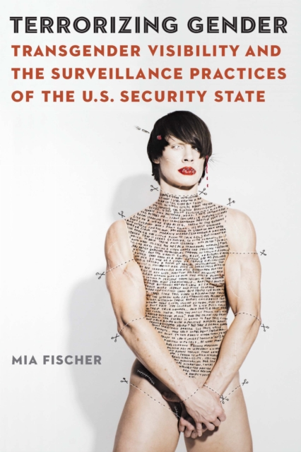Image for Terrorizing Gender : Transgender Visibility and the Surveillance Practices of the U.S. Security State