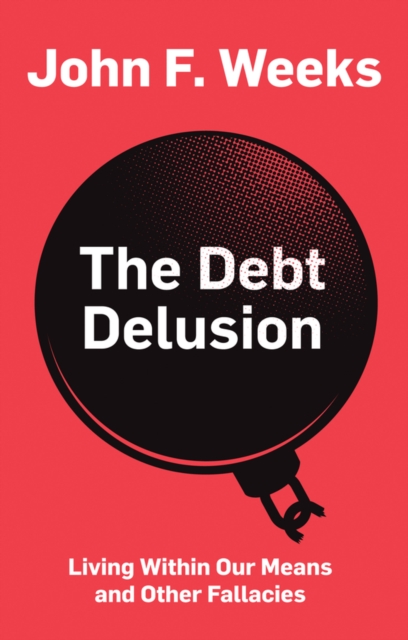 Image for The Debt Delusion : Living Within Our Means and Other Fallacies