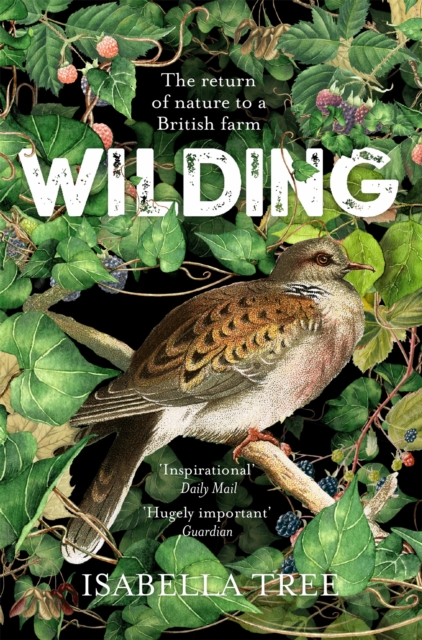 Image for Wilding : The Return of Nature to a British Farm