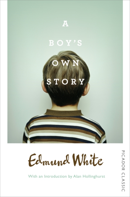 Image for A Boy's Own Story