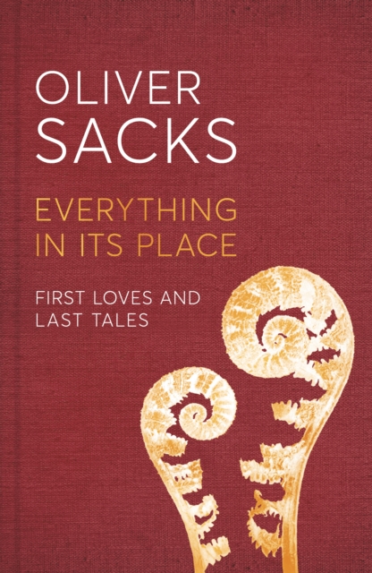 Cover for: Everything in Its Place : First Loves and Last Tales