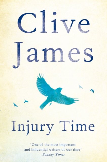 Cover for: Injury Time