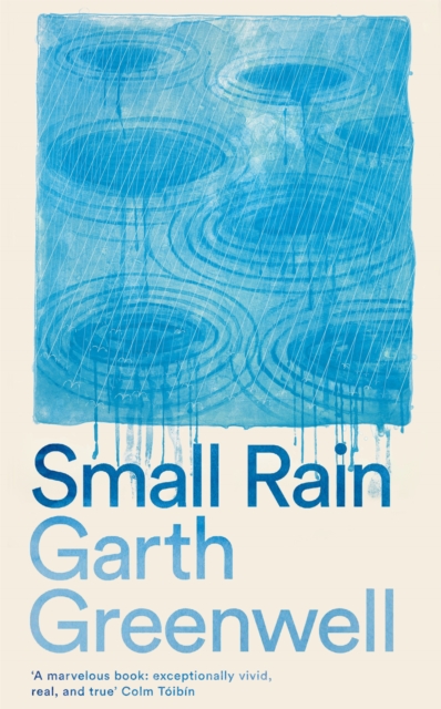 Image for Small Rain