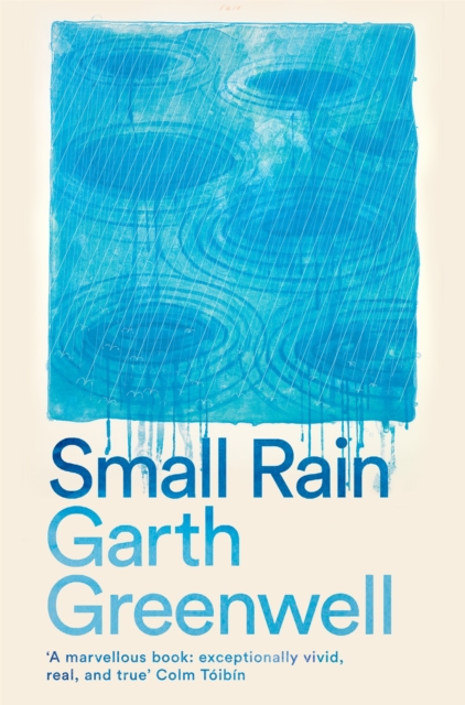 Image for Small Rain