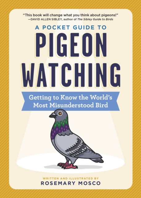 Image for A Pocket Guide to Pigeon Watching : Getting to Know the World's Most Misunderstood Bird