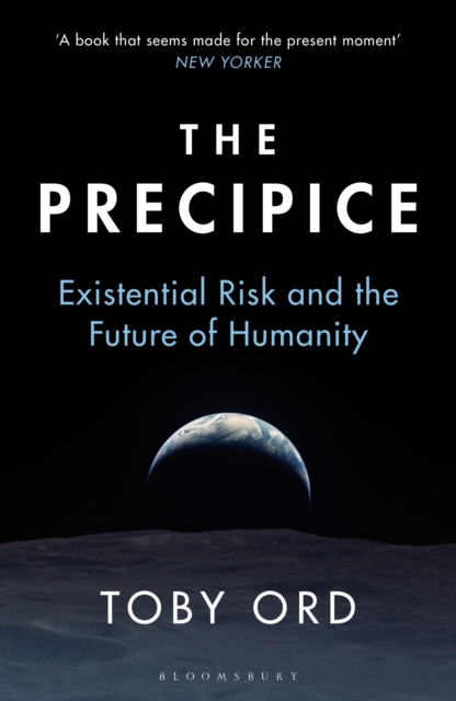 Image for The Precipice : 'A book that seems made for the present moment' New Yorker