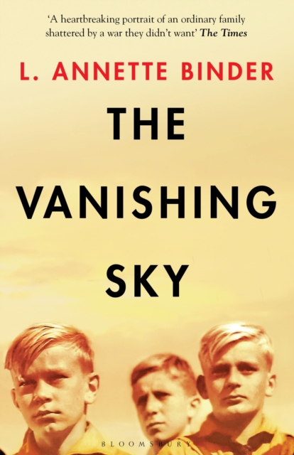 Image for The Vanishing Sky
