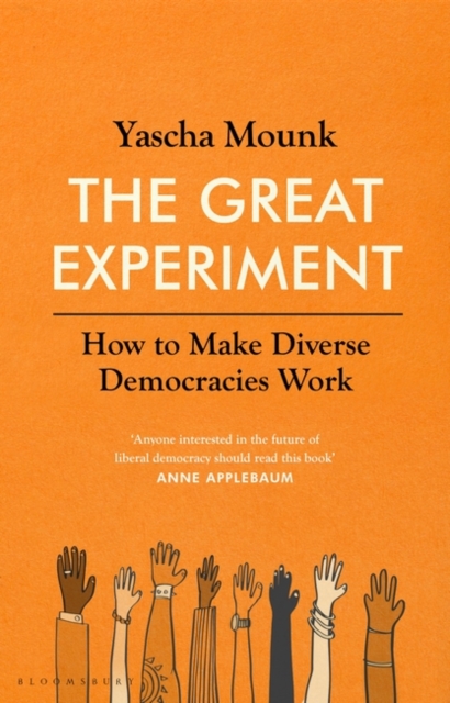 Image for The Great Experiment : How to Make Diverse Democracies Work