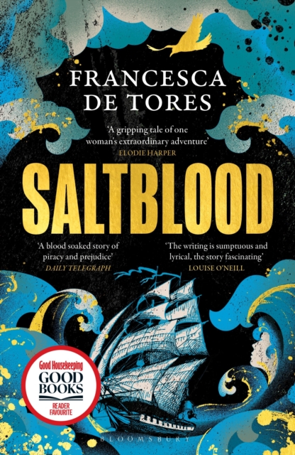 Image for Saltblood : An epic historical fiction debut inspired by real life female pirates