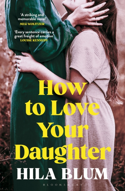 Image for How to Love Your Daughter : The ‘excellent and unforgettable’ prize-winning novel